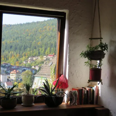 アパート If You Need A Place For A Couple Of Months Our Fully Furnished Flat Is What You're Looking For